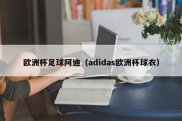 欧洲杯足球阿迪（adidas欧洲杯球衣）